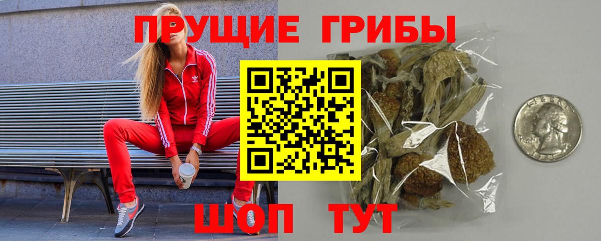 Лангепас  как найти   Вход с VPN  Псилоцибиновые грибы Cubensis 